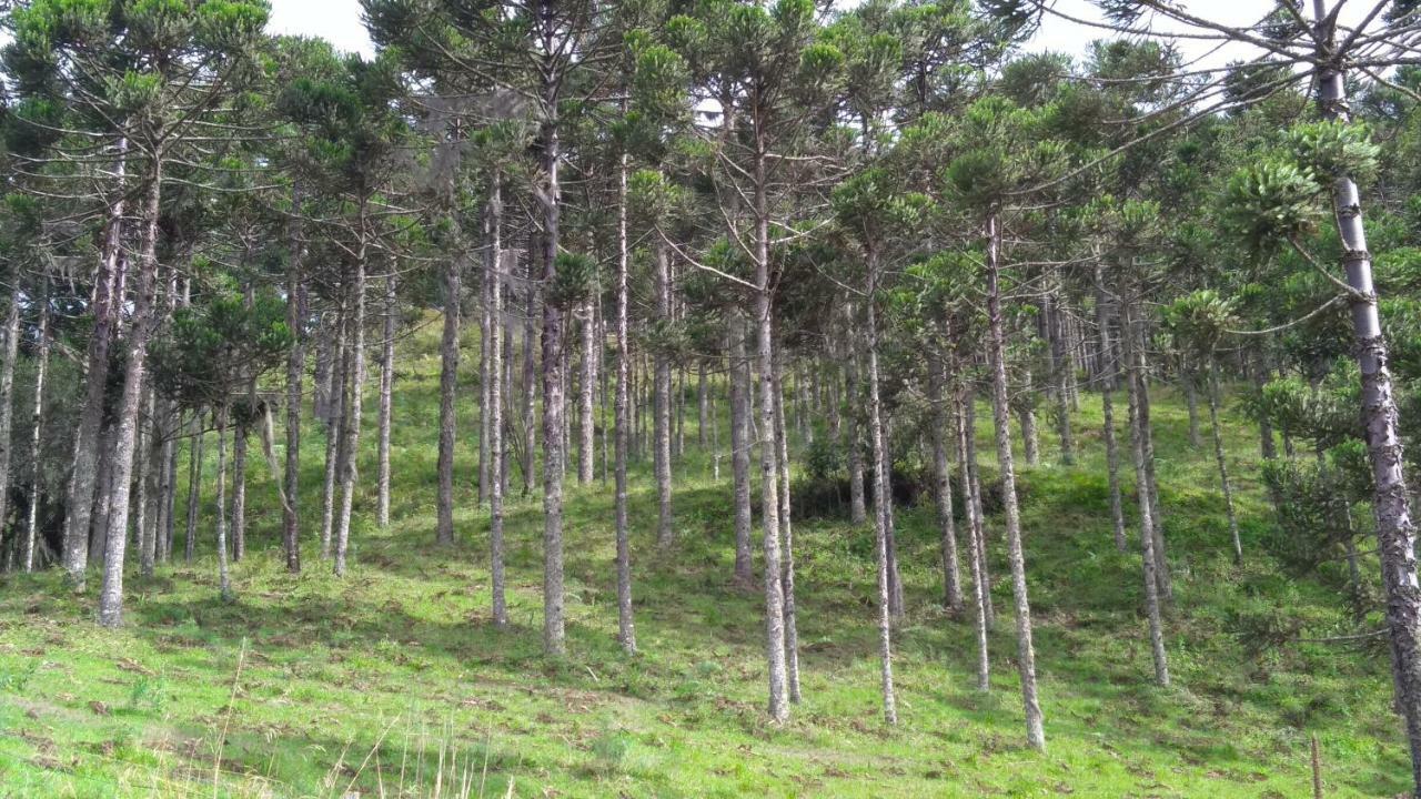 Quinta Da Serra อูรูบิซิ ภายนอก รูปภาพ